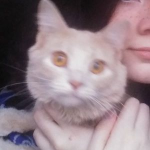 Meet your Posher, Bella